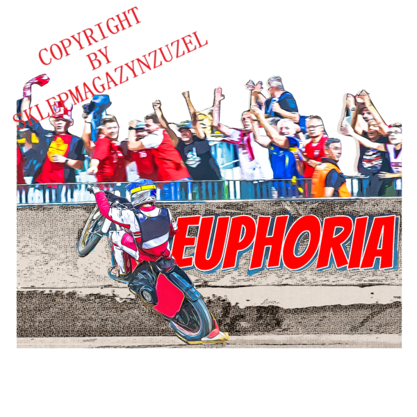Bluza męska Klasyczna Z nadrukiem Grafika MZ23 Euphoria - obrazek 4