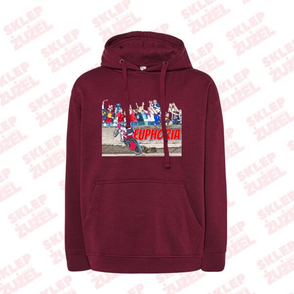 Bluza męska z kapturem Grafika MZ23 Euphoria - obrazek 5