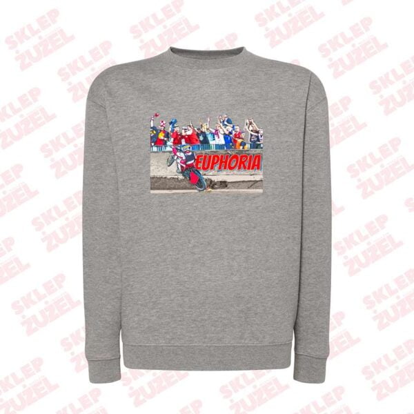 Bluza męska Klasyczna Z nadrukiem Grafika MZ23 Euphoria - obrazek 3