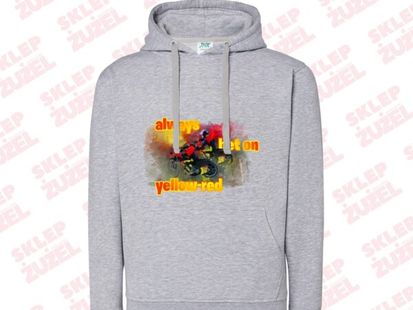 Bluza damska z kapturem Grafika MZ24 Różne kolory - obrazek 3