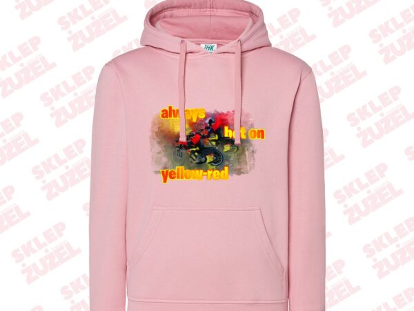 Bluza damska z kapturem Grafika MZ24 Różne kolory - obrazek 4