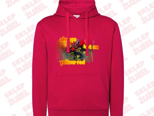 Bluza damska z kapturem Grafika MZ24 Różne kolory - obrazek 5