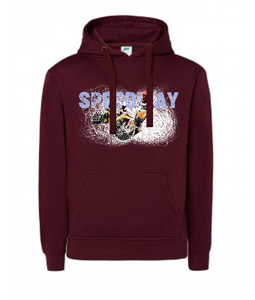 Bluza damska z kapturem Grafika MZ18-1 Różne kolory - obrazek 4