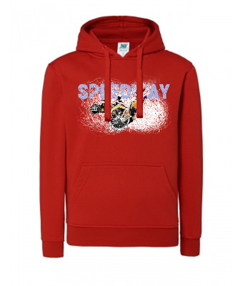 Bluza damska z kapturem Grafika MZ18-1 Różne kolory - obrazek 9